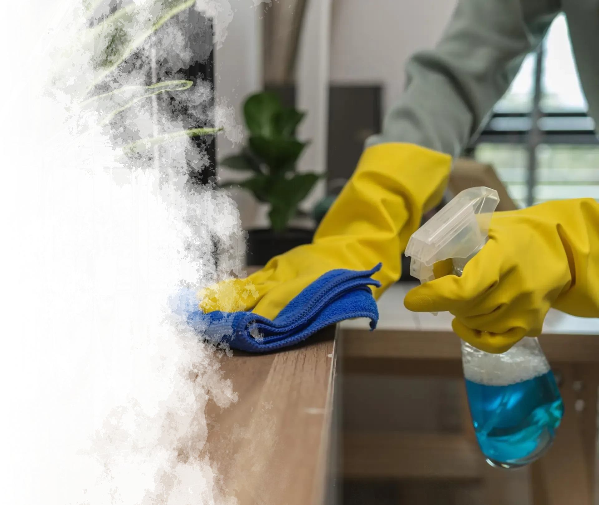 Ghost Cleaner